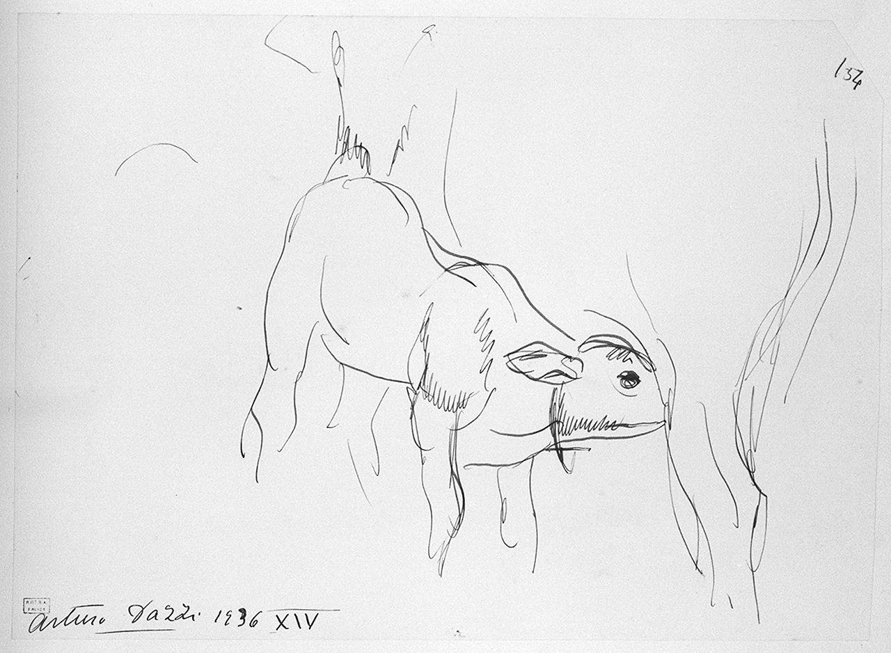 vitello (disegno) di Dazzi Arturo (sec. XX)