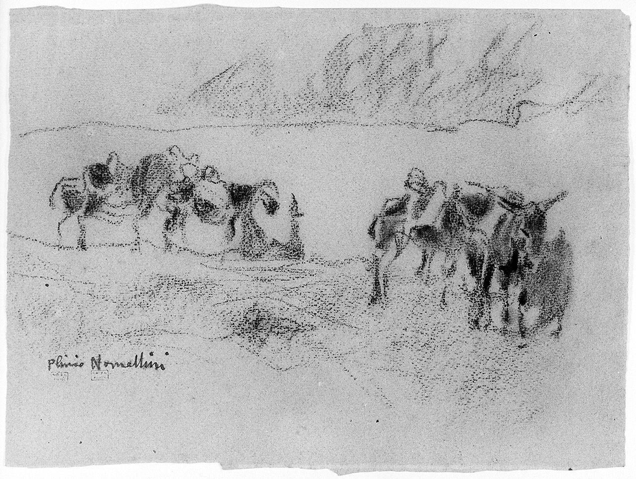 paesaggio con animali (disegno) di Nomellini Plinio (sec. XX)