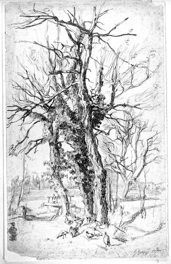 paesaggio con alberi (disegno) di Graziosi Giuseppe (sec. XX)