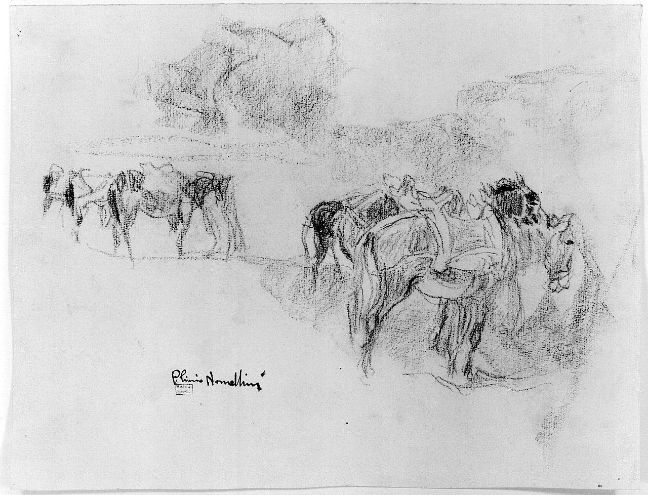 cavalli (disegno) di Nomellini Plinio (sec. XX)