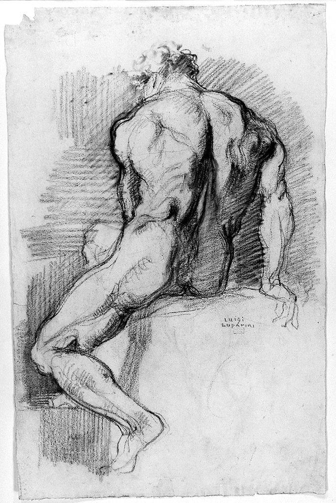 giovane nudo (disegno) di Luparini Luigi (sec. XX)