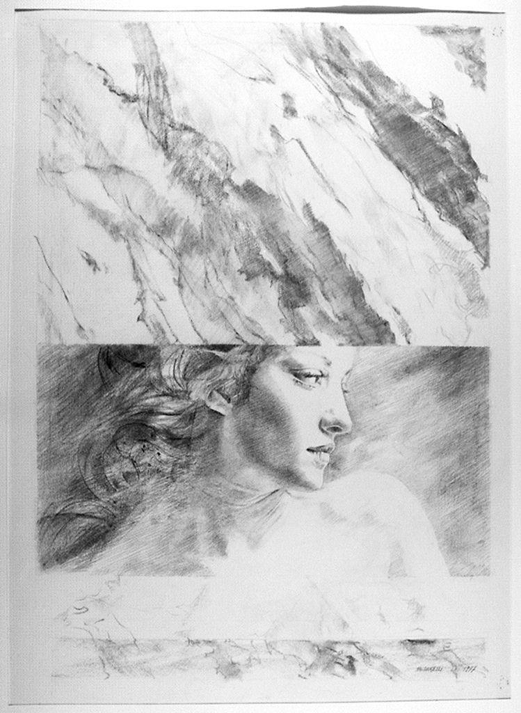 ritratto di donna (disegno) di Saldarelli Riccardo (sec. XX)