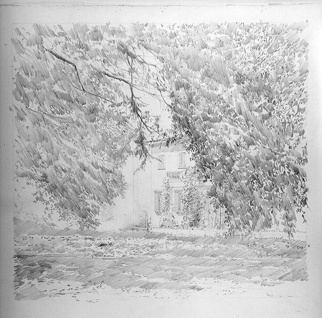 paesaggio con alberi (disegno) di Vignozzi Giampiero (sec. XX)