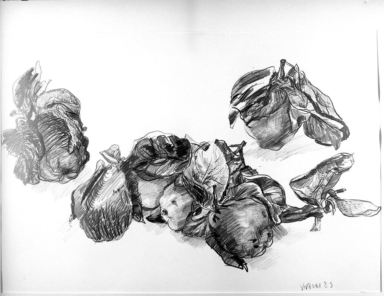 natura morta con frutta (disegno) di Vivaldi Dario (sec. XX)