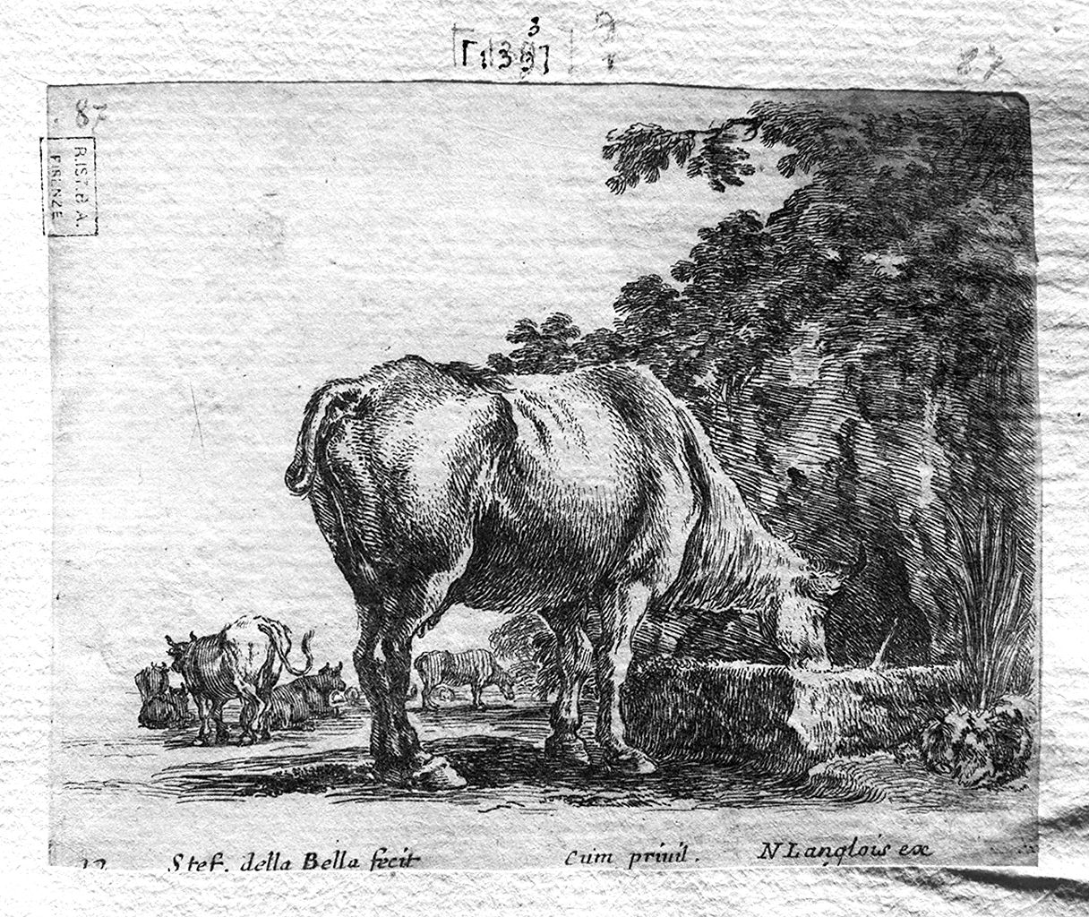 vacca che si abbevera (stampa smarginata, serie) di Della Bella Stefano (sec. XVII)