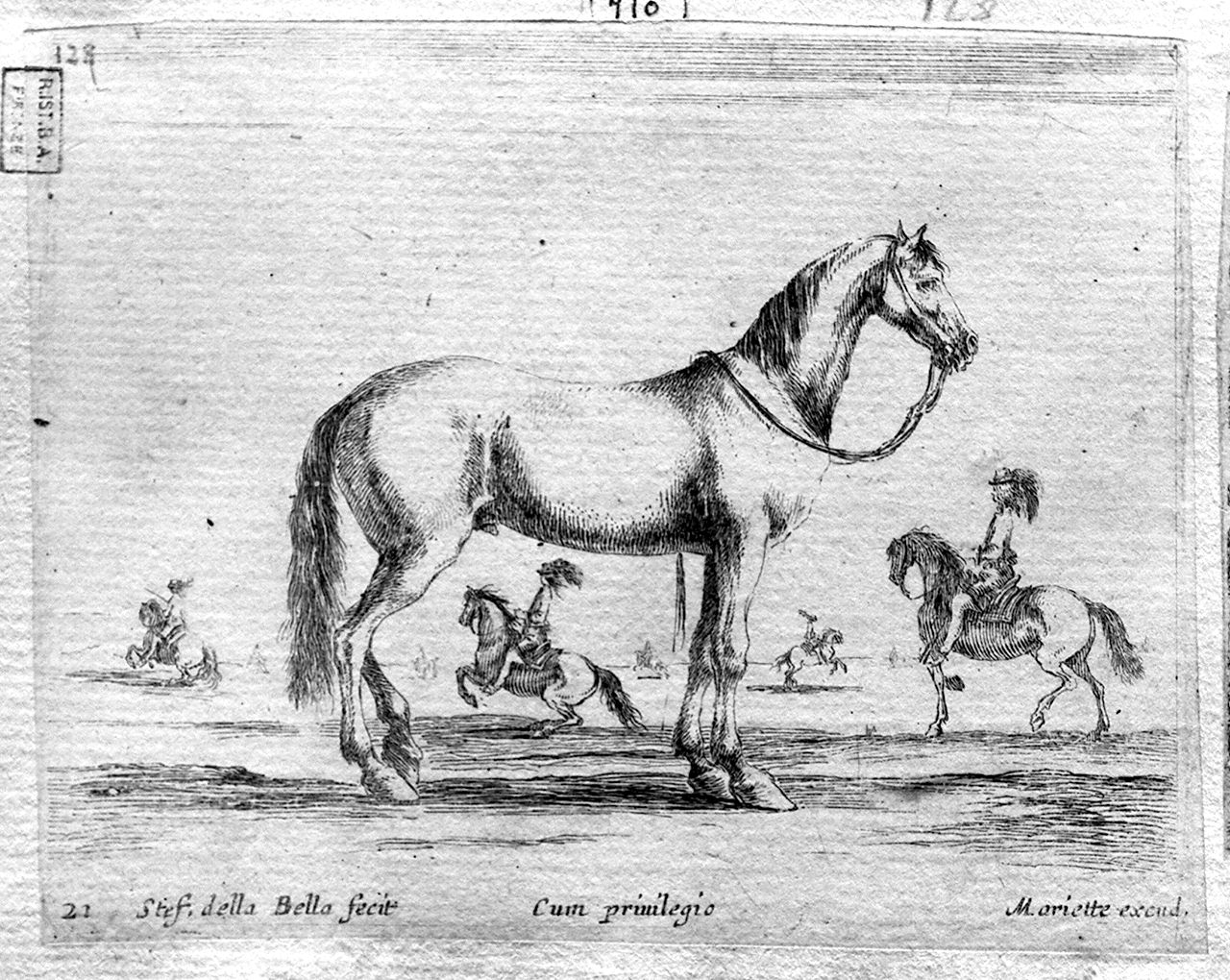 cavallo (stampa, serie) di Della Bella Stefano (sec. XVII)