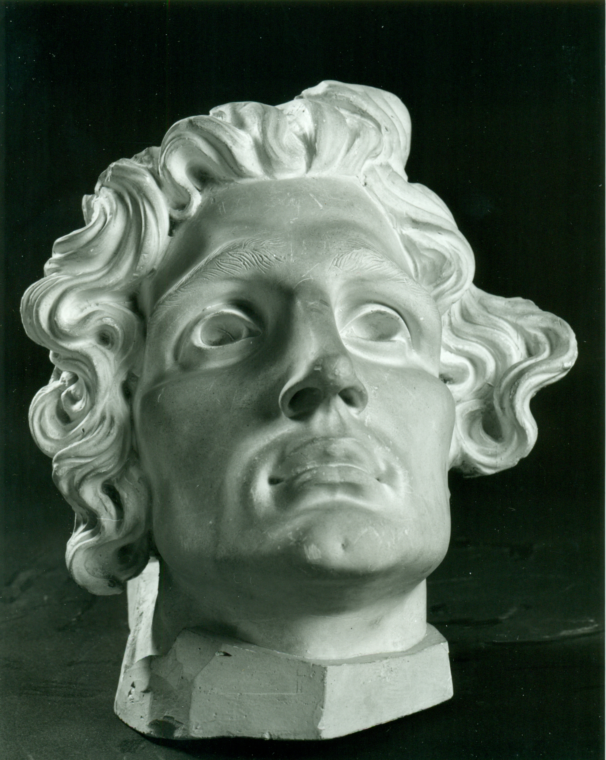 Testa virile con folta chioma, Testa maschile (statua, opera isolata) di Andersen Hendrik Christian (attribuito) (prima metà XX)