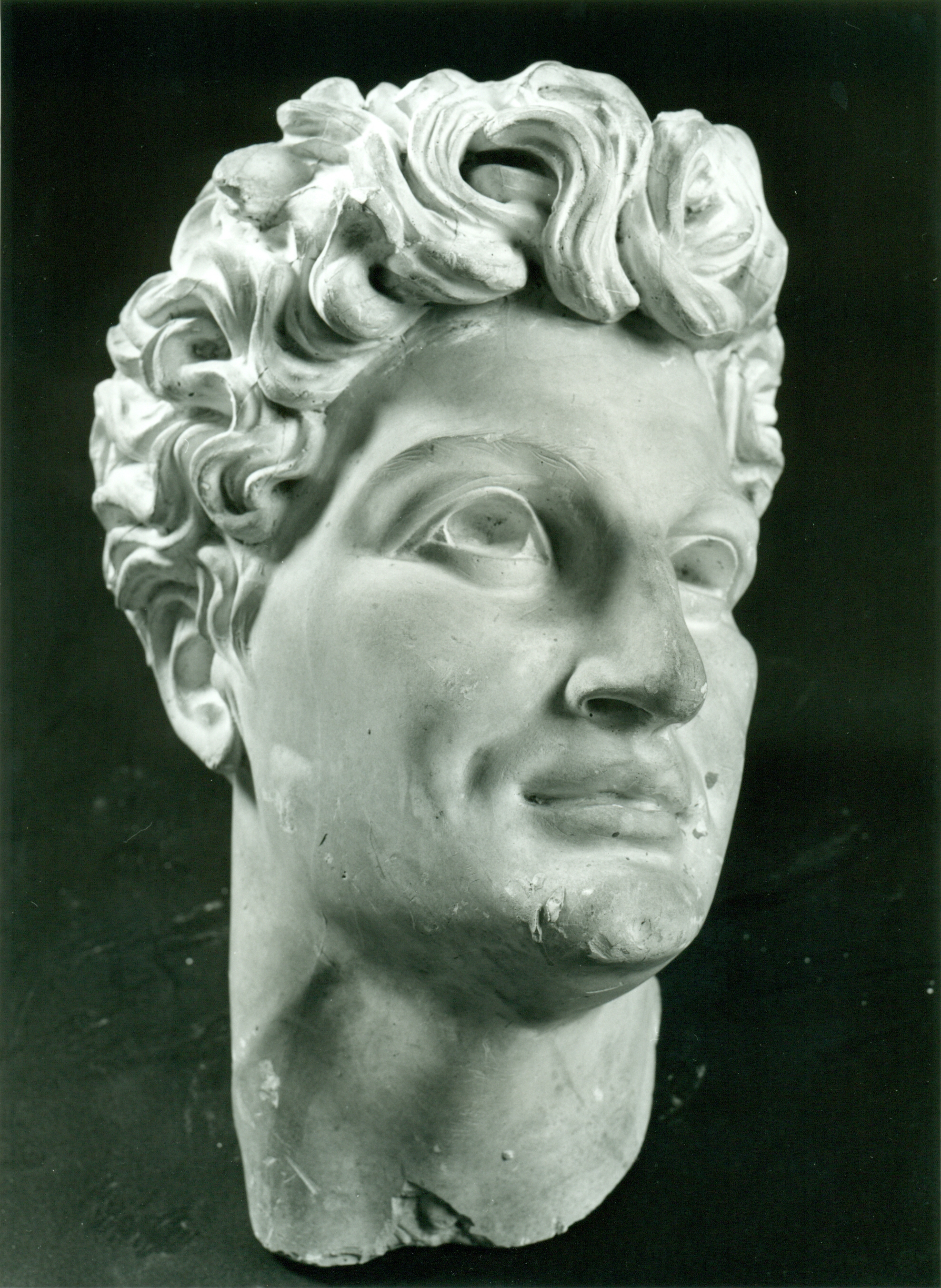 Testa virile, Scultura di testa (statua, opera isolata) di Andersen Hendrik Christian (attribuito) (inizio XX)