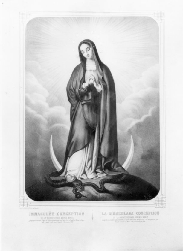 L'Immacolata, Immacolata Concezione (stampa, elemento d'insieme) di Turgis J (attribuito), Monogrammista A. B (attribuito) (seconda metà sec. XIX)