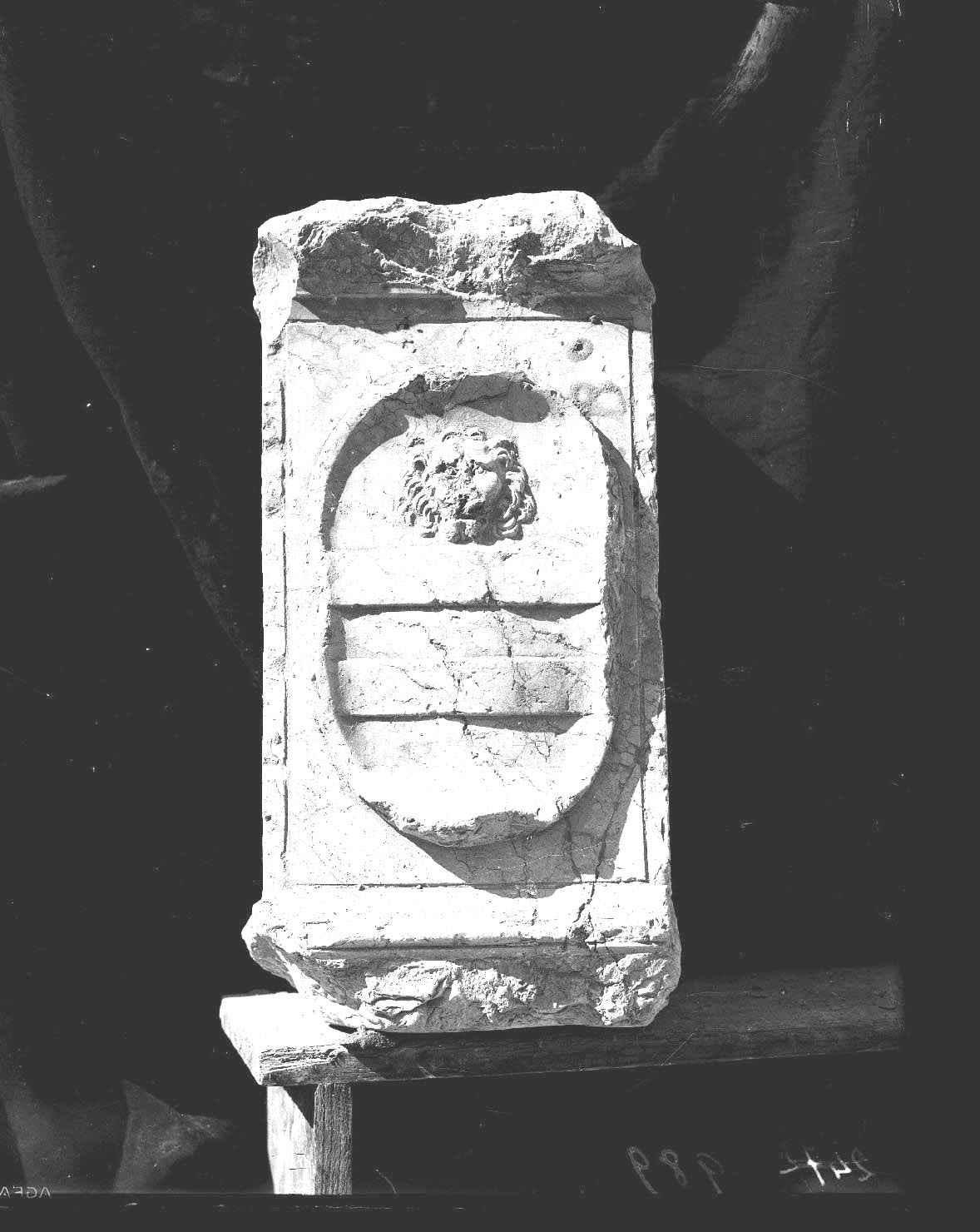 Mantova - Architetture - Restauri - Stemmi - Scultura (negativo) di Mantegna, Andrea, Fancelli, Luca, Anonimo (XX)