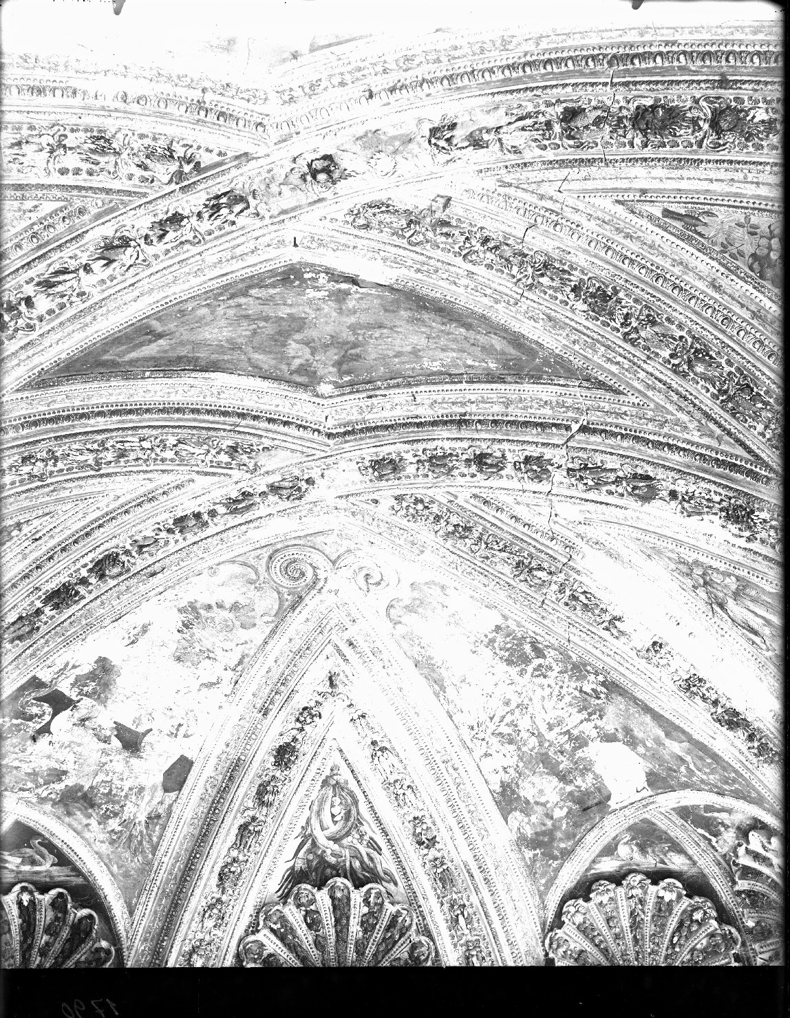 Mantova - Palazzo Ducale - Dipinti murali (negativo) di Lorenzo Costa il Giovane (attr), Anonimo (XX)