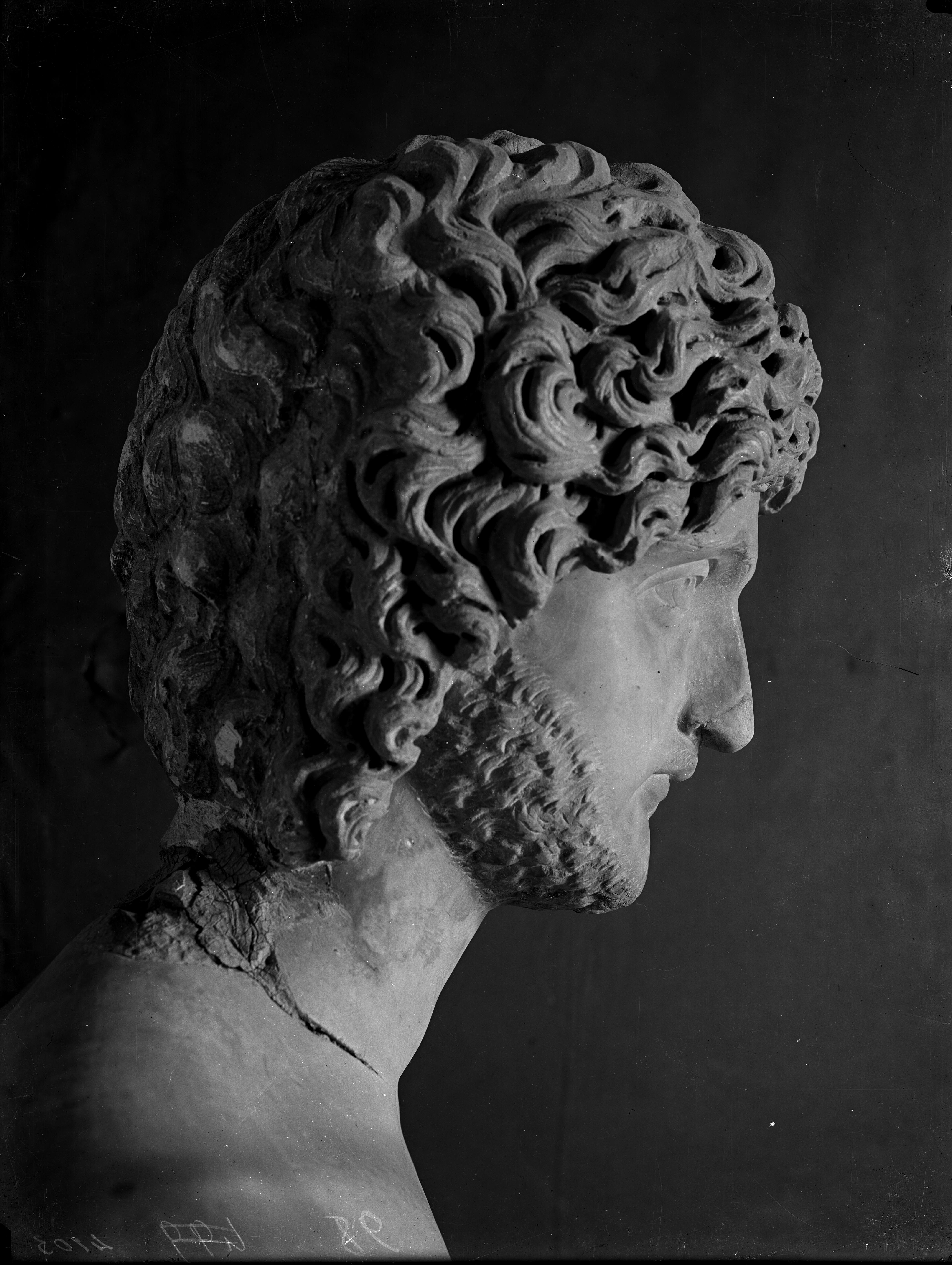 Mantova - Palazzo Ducale - Sculture (negativo) di Anonimo (XX)