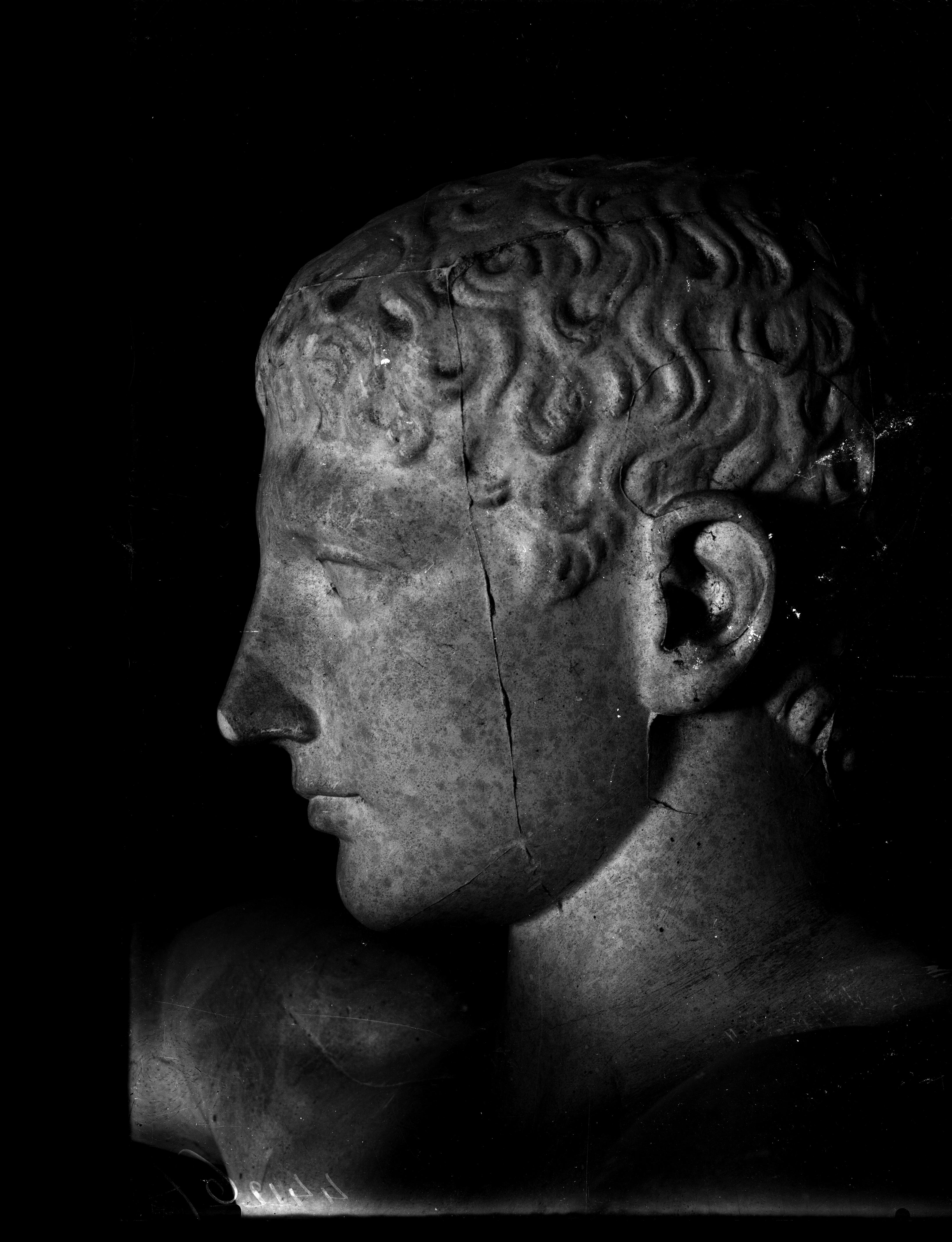 Mantova - Palazzo Ducale - Sculture (negativo) di Anonimo (XX)