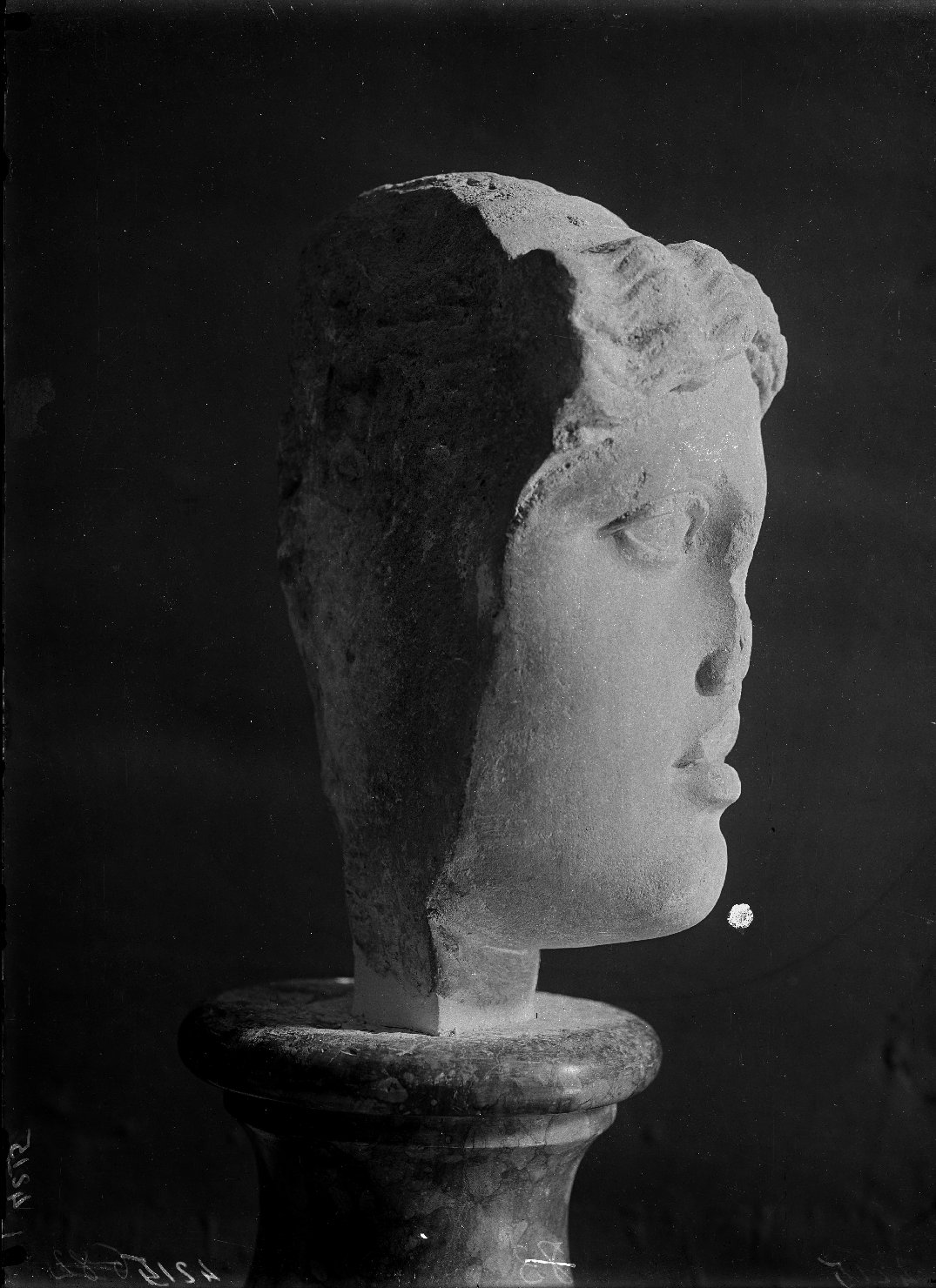 Mantova - Palazzo Ducale - Sculture (negativo) di Anonimo (XX)