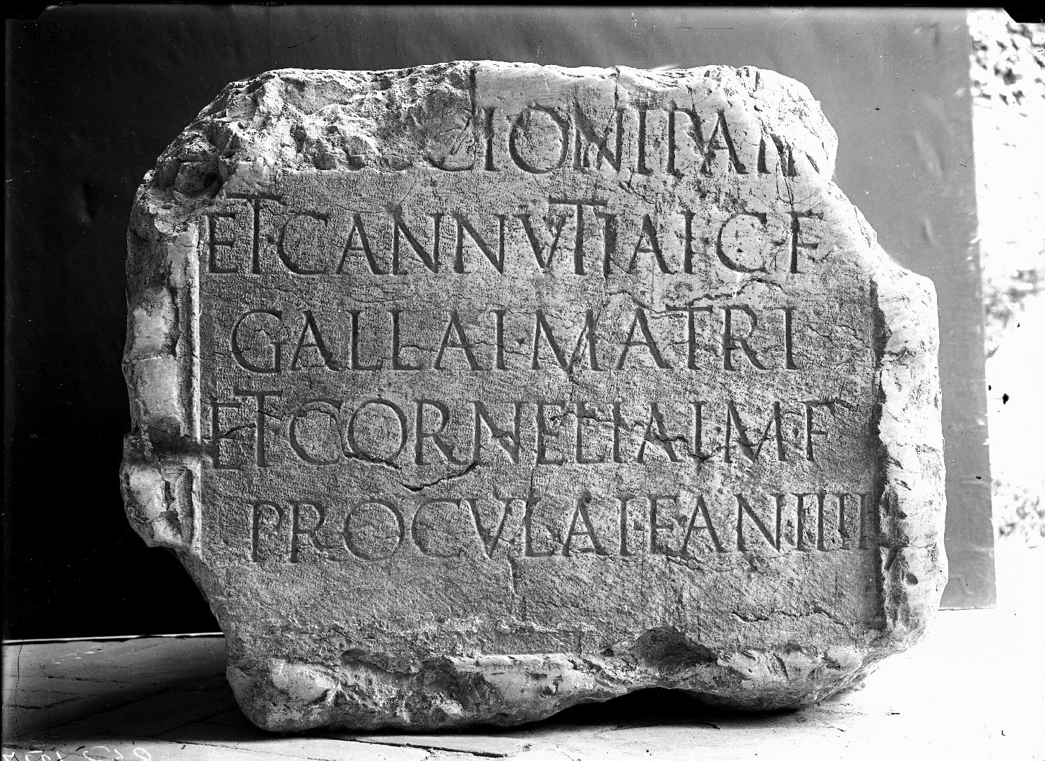 Mantova - Palazzo Ducale - Sculture - Lapide (negativo) di Anonimo (XX)