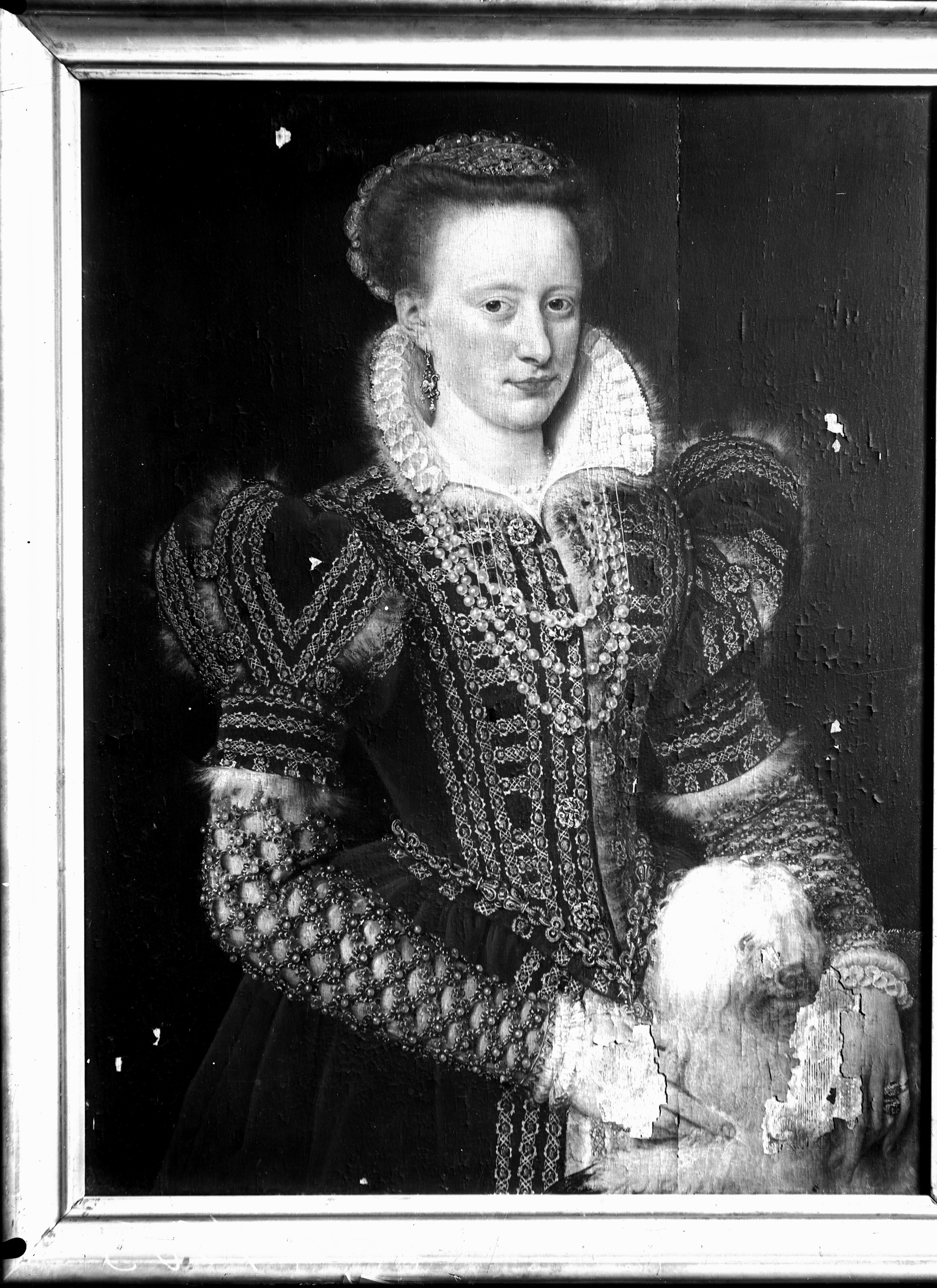 Ritratto di dama - Dipinti (negativo) di Clouet, Francois (attr), Anonimo (XX)