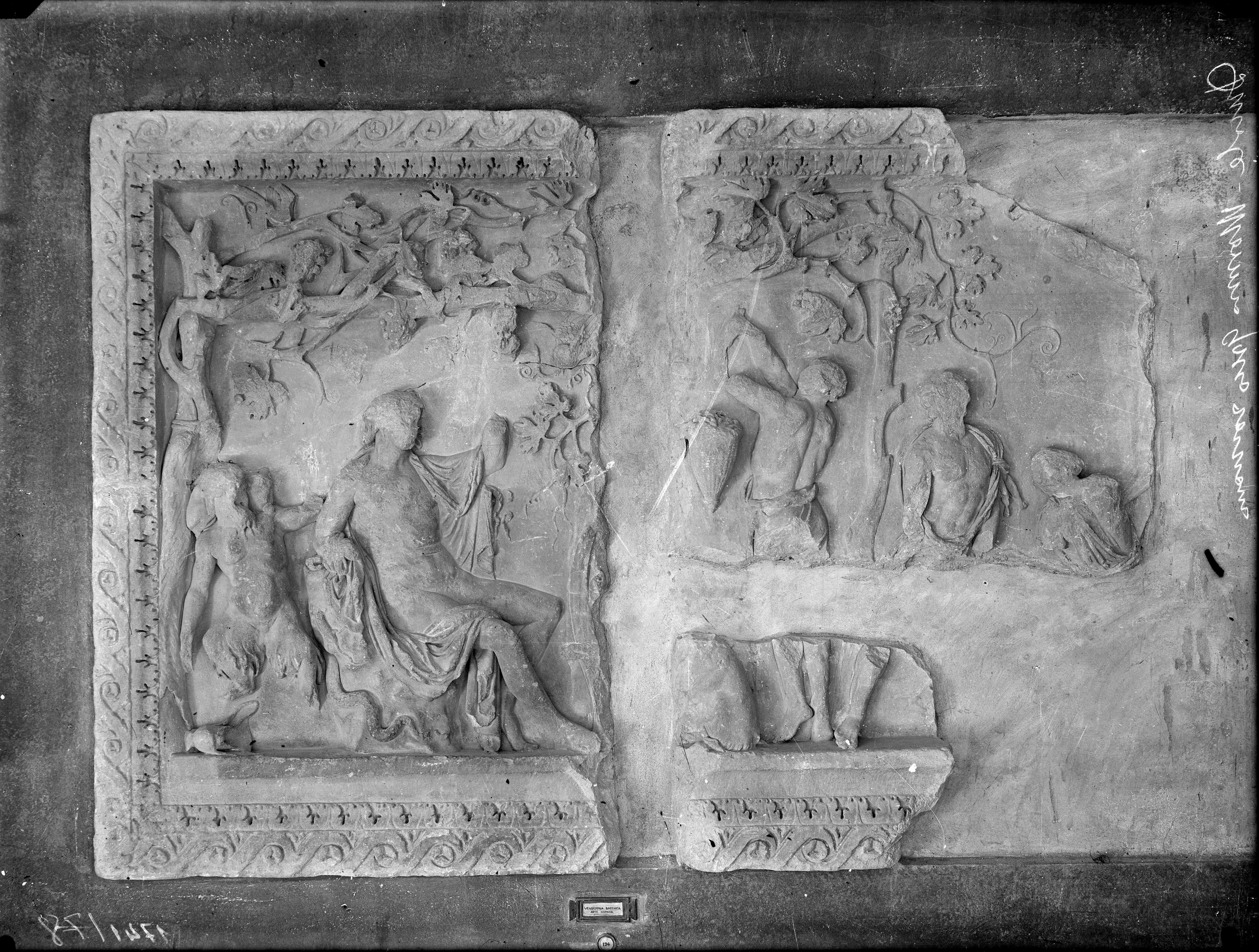 Mantova - Palazzo Ducale - Rilievi (negativo) di Anonimo (XX)