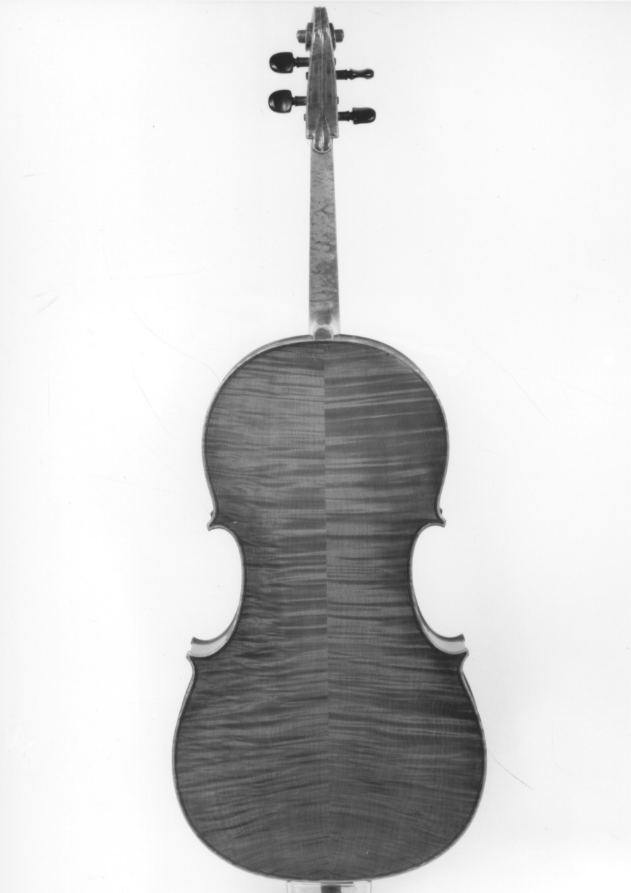 violoncello di Capicchioni Marino (sec. XX)