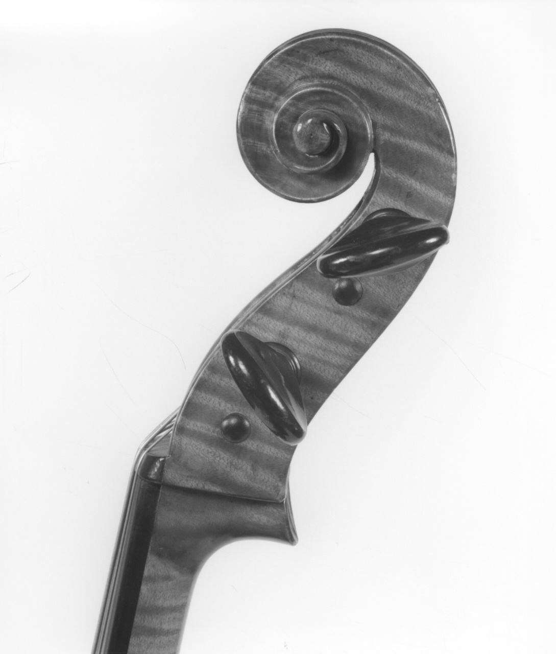 controviolino di De Zorzi Valentino (sec. XX)