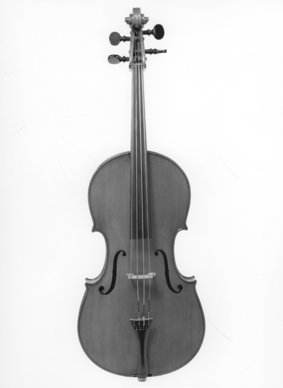 controviolino di De Zorzi Valentino (sec. XX)