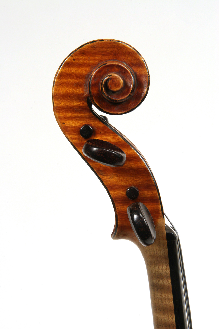 violino di Scarampella Giuseppe (sec. XIX) 