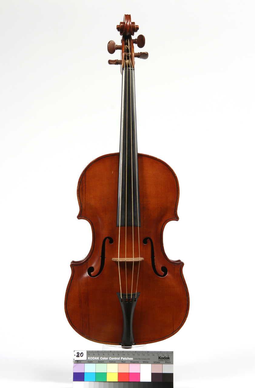 viola - bassa di Arcangioli Lorenzo (sec. XIX) 