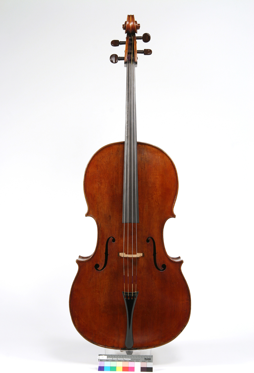 violoncello di Tecchler David (attribuito) (secc. XVIII)