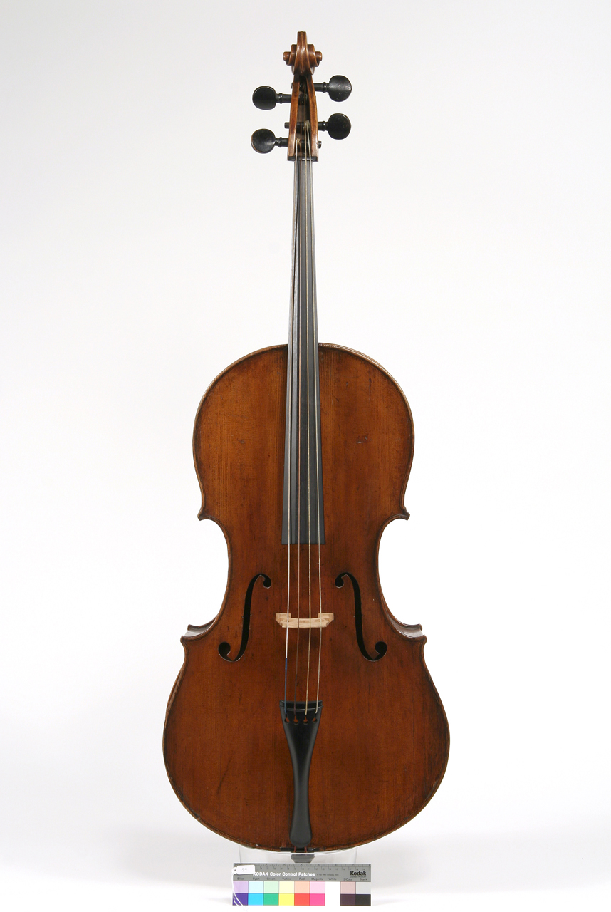 violoncello - produzione fiorentina (sec. XIX)