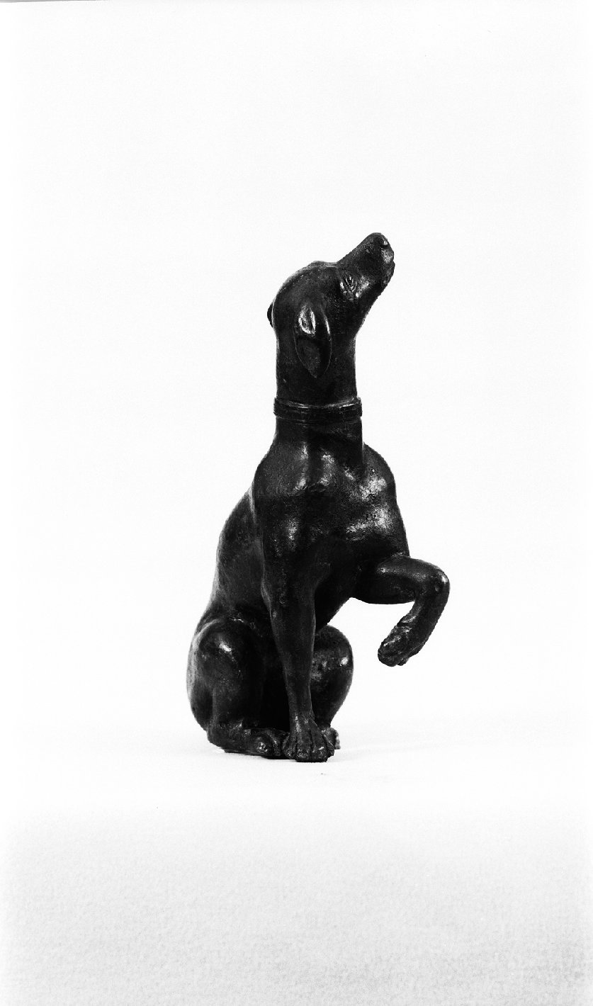 cane seduto (statuetta, opera isolata) di Campagna Girolamo (maniera) (fine/ metà secc. XVI/ XVII)