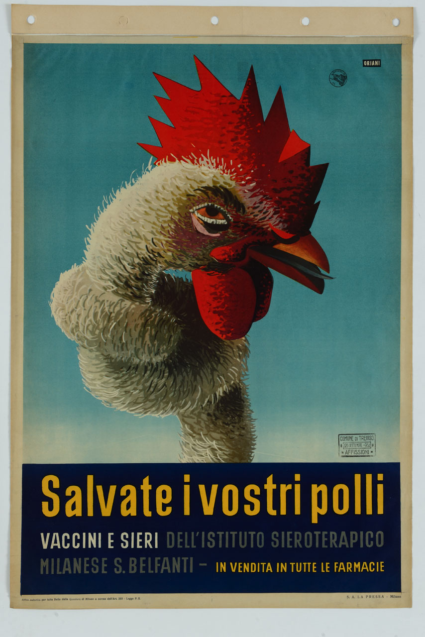 testa di gallo con collo annodato (manifesto) di Oriani Giuseppe detto Oriani Pippo (sec. XX)