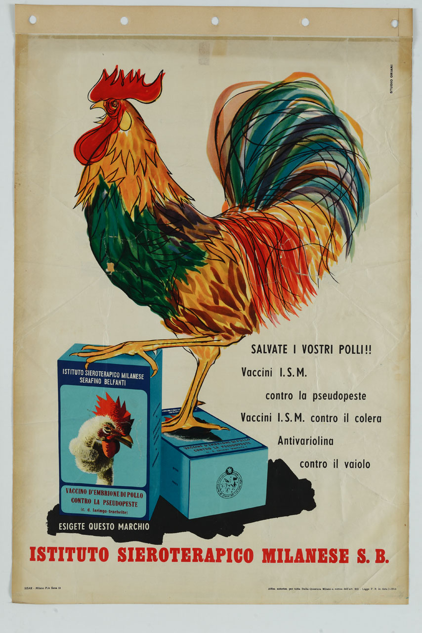 gallo sopra scatole per vaccini (manifesto) di Studio Oriani (sec. XX)