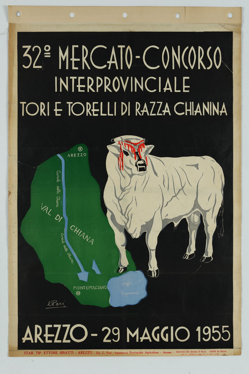 bovino e carta geografica della Val di Chiana (manifesto) di Paci Carlo (sec. XX)
