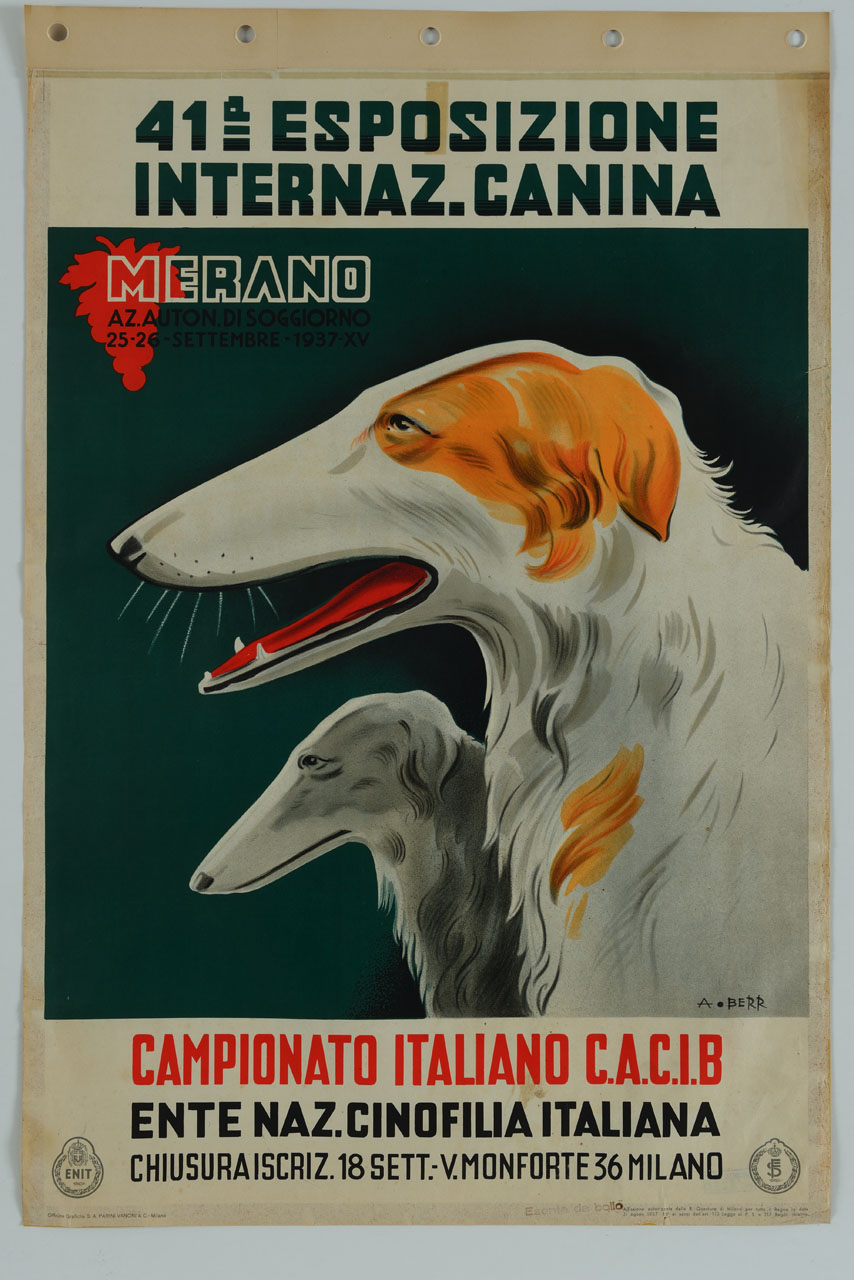 due cani affiancati di profilo (manifesto) di Berretti Alessandro (sec. XX)