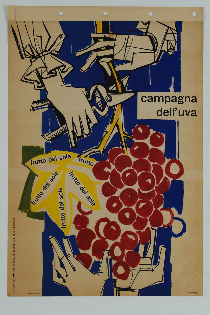 mani tagliano con le cesoie un grande grappolo d'uva accolto da mani sottostanti (manifesto) di Hajnal János detto Hajnal Giovanni (sec. XX)