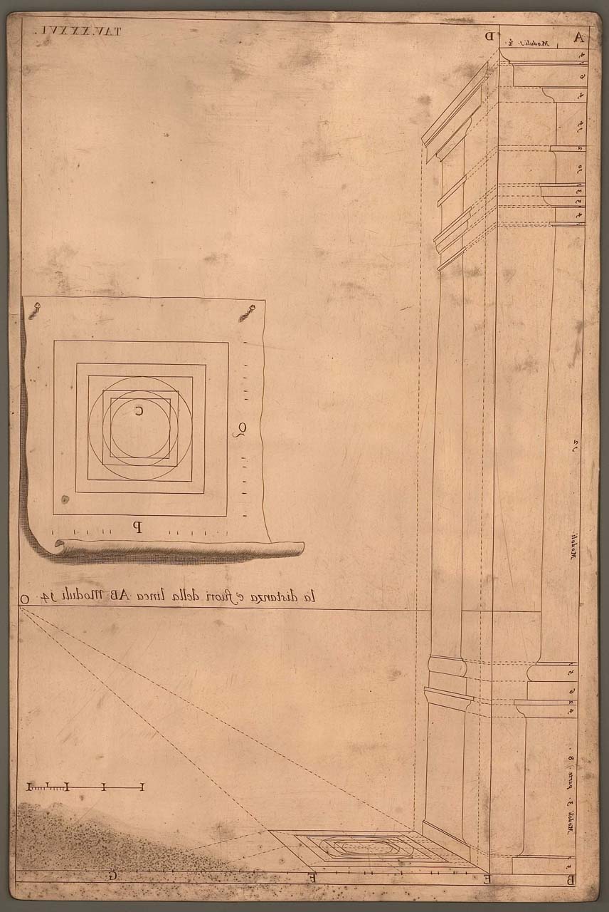 pianta e proiezione in alzato di una colonna (matrice incisa) di Pozzo Andrea (sec. XVII)