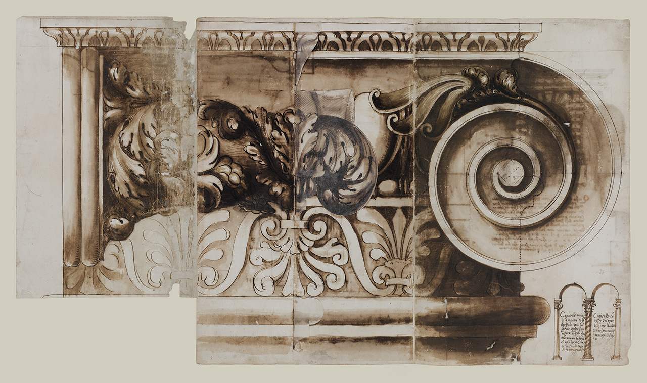 capitello ionico e prospetto di parte del colonnato della basilica dei SS. Apostoli (disegno architettonico) di Alberti Alberto (sec. XVI)
