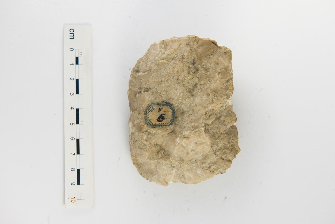 Fossile (foraminiferi, associazione fossile)