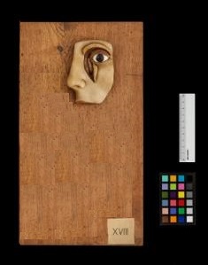 Cera anatomica, apparato lacrimale