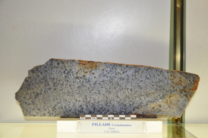 Fillade cornubianitica (esemplare)