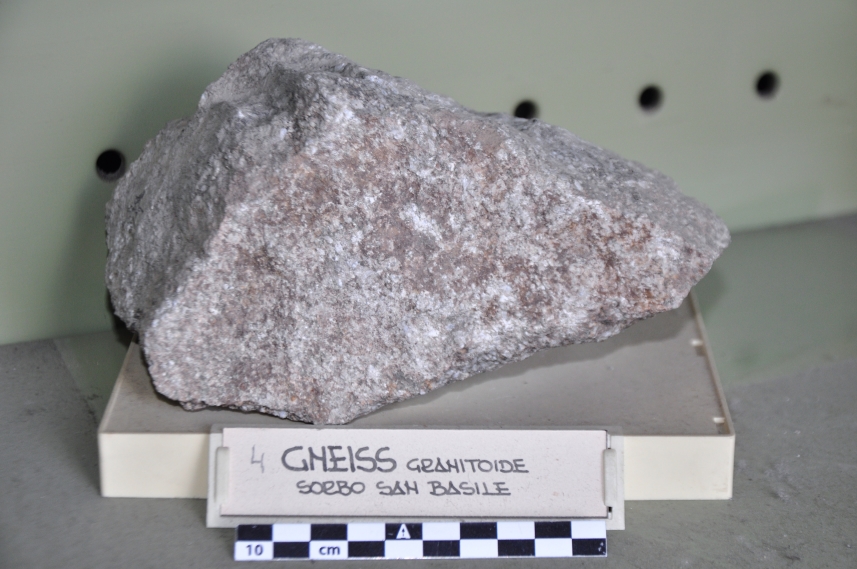 Gneiss granitoide (esemplare)