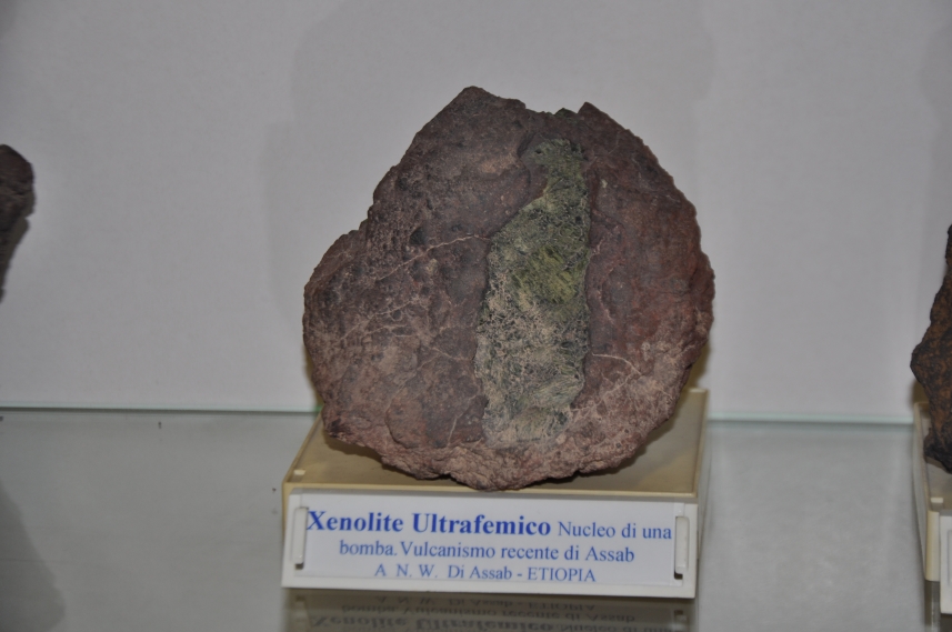 Xenolite ultrafemico (esemplare)
