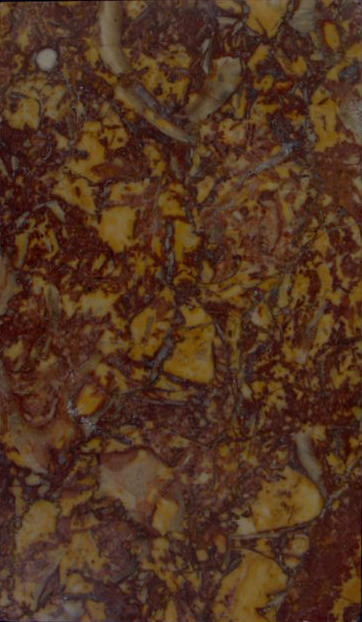 Lumachella Broccatello rosso e giallo (esemplare)