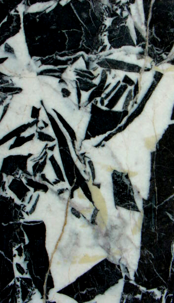 Bianco e nero antico bigiastro (esemplare)