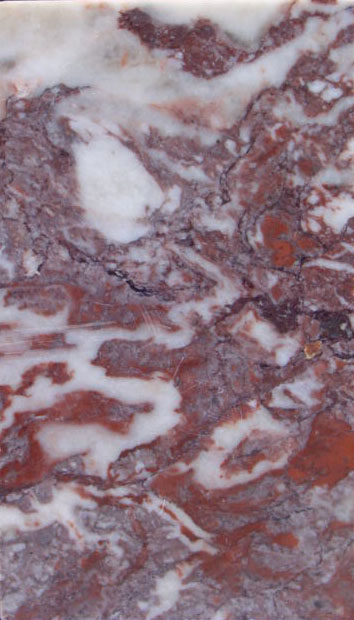 Fior di Persico tipo o palatino (esemplare)