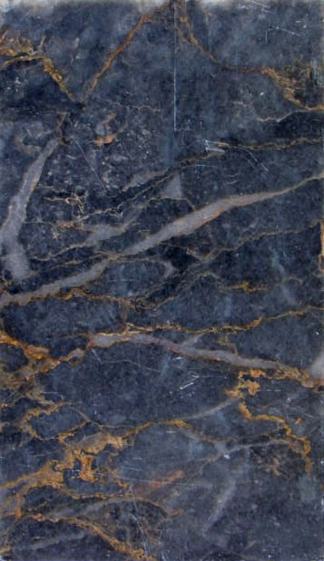 Bigio venato dorato (esemplare)