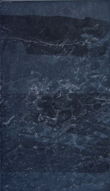 Bigio Morato Orbicolare (esemplare)