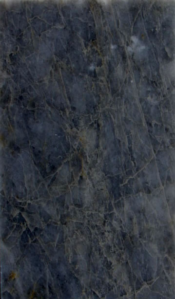 Bigio perlato (esemplare)