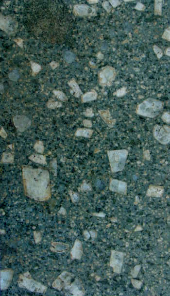 Porfido cinerino quadrilatero (esemplare)