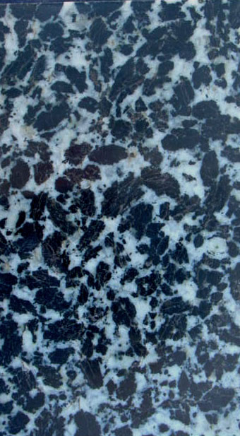 Granito bianco e nero di S.Prassede (esemplare)