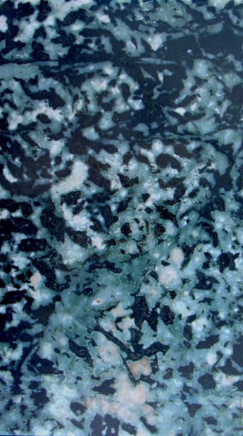Granito bianco e nero della Colonna (esemplare)